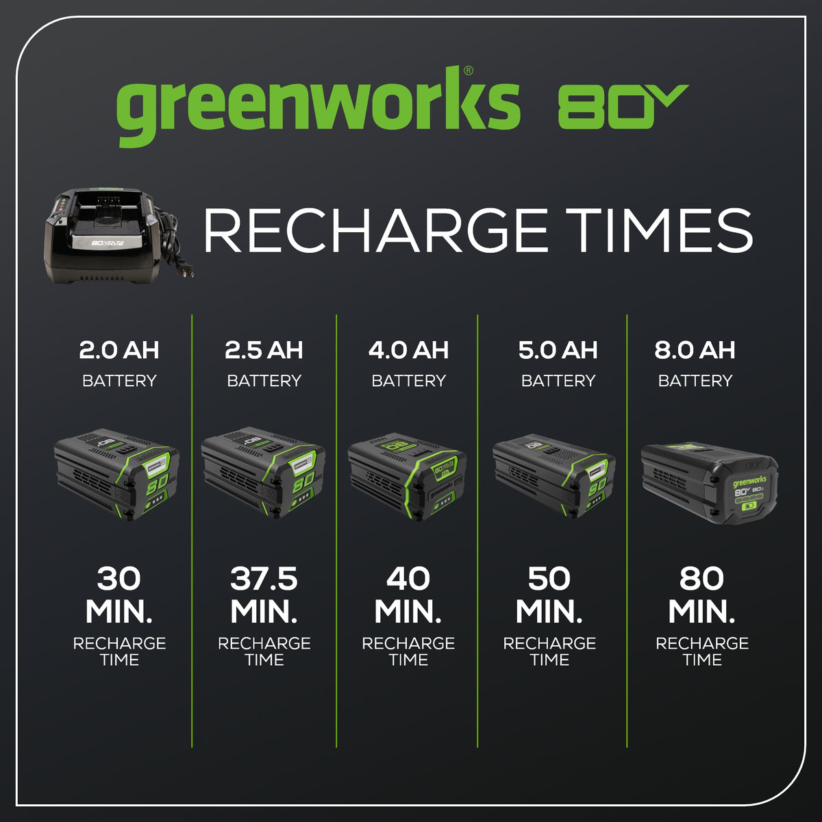 80V 6A Battery Charger