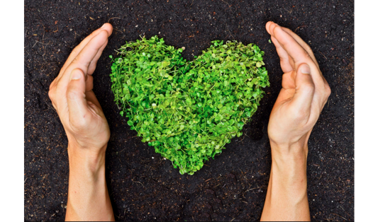 4 Quick Tips: How to Be More Environmentally Conscious