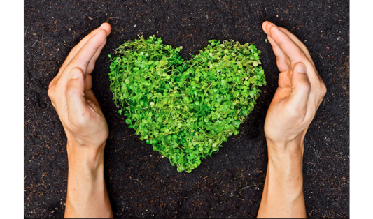 4 Quick Tips: How To Be More Environmentally Conscious