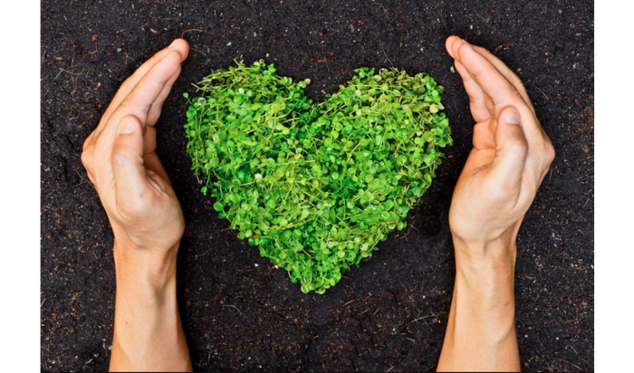 4 Quick Tips: How To Be More Environmentally Conscious