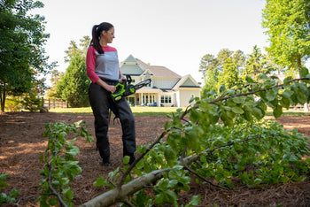 Storm Prep Small Limb Removal