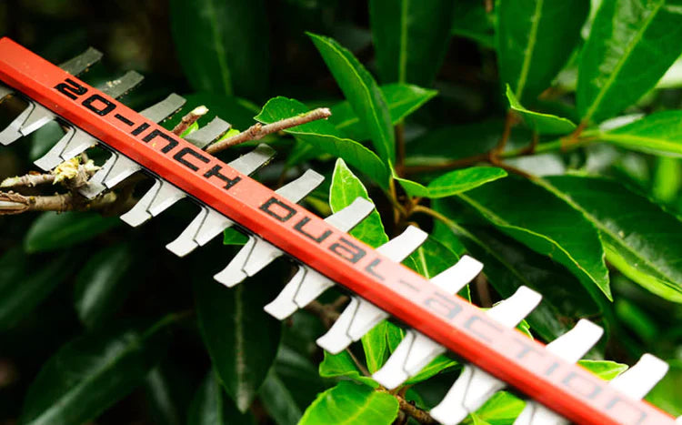 Greenworks Pro 80V 20" Cordless Pole Hedge Trimmer