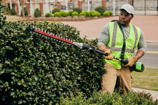 Choose the Right Voltage Feature Image Trimmer