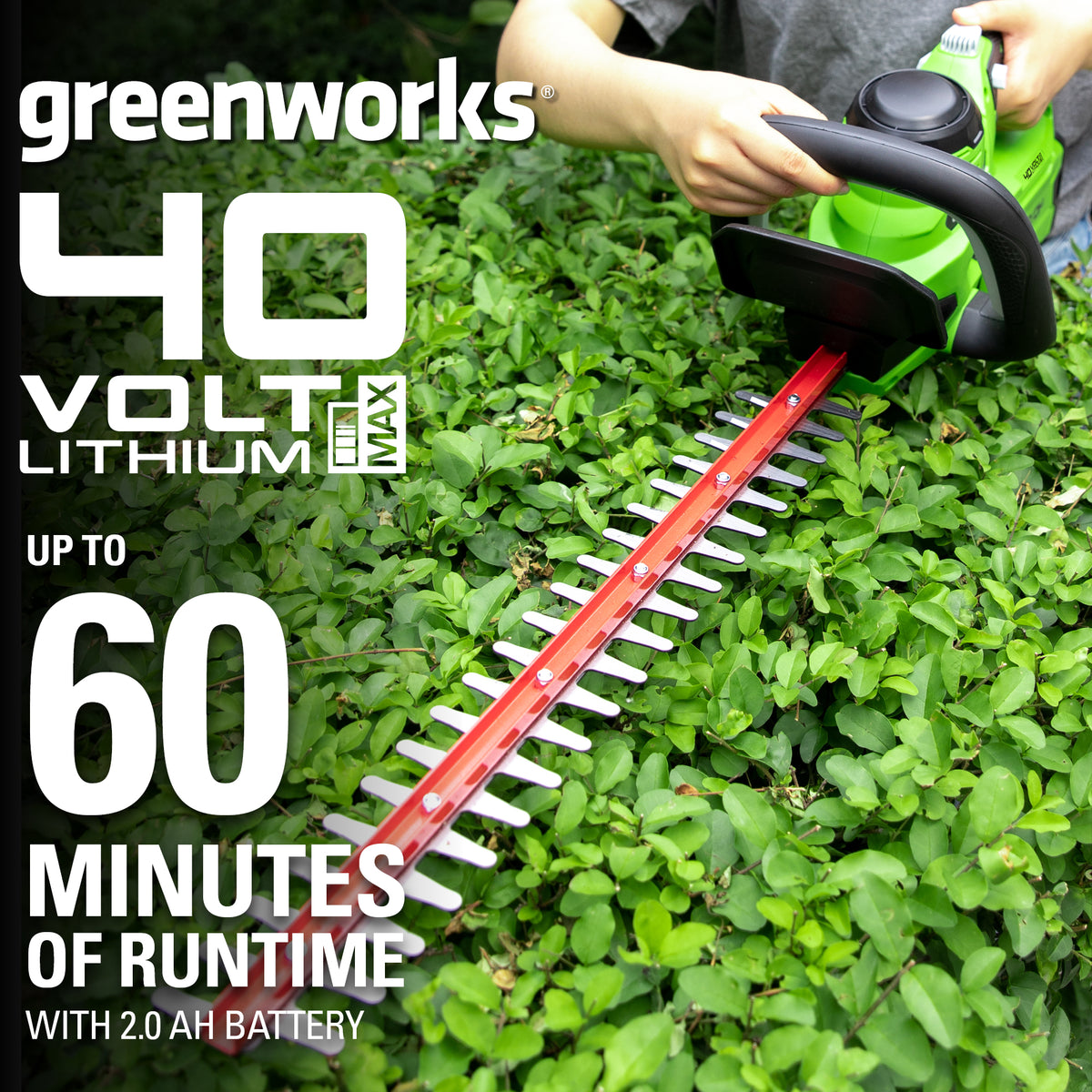 40V 24" Cordless Battery Hedge Trimmer w/ 2.0 Ah USB Battery & Charger