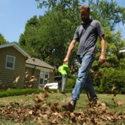 FAQ's and User Guide