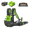 80V 800 CFM Cordless Battery Backpack Blower and Leaf Tarp: 4.0 Ah Battery and Rapid Charger