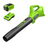 40V 350 CFM Cordless Battery Leaf Blower: 2.0 Ah Battery and Charger