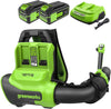 40V 710 CFM Cordless Battery Dual-Port Backpack Blower: (2) 5.0Ah Battery and Charger