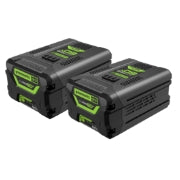 <h3> (2) 5.0Ah Batteries </h3><p>Clean up to 4-6 car driveway on a single charge.</p>