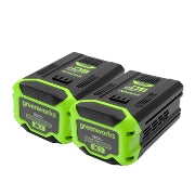 <h3>(2) 5.0Ah Batteries</h3>