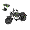 60V STEALTH Series Electric Mini-Bike: (2) 8.0 Ah Batteries and Dual-Port Rapid Charger