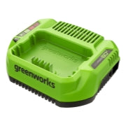 <h3>60V 3A Standard Charger</h3><p><span style="color:rgb(55,65,81);">Compatible with 75+ Greenworks 60V tool</span></p>