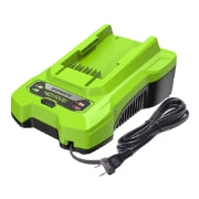 <h3>40V 2A Standard Charger</h3><p><span style="color:rgb(55,65,81);">Compatible with 75+ Greenworks 40V tool</span></p>