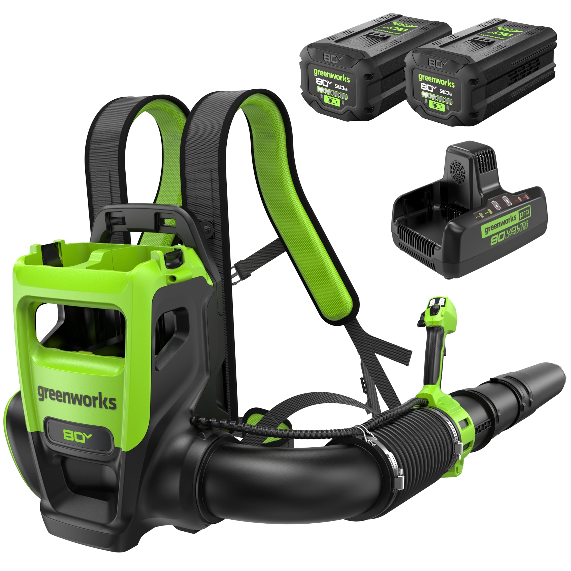 80V 800CFM Cordless Battery Dual Port Backpack Blower w/ (2) 5Ah Batte