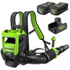 80V 800CFM Cordless Battery Dual-Port Backpack Blower: (2) 5Ah Battery and Dual-Port Rapid Charger