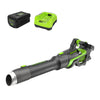 80V 750CFM Cordless Battery Leaf Blower: 2.5 Ah Battery and Charger