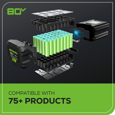 80V Cordless Battery Backpack Sprayer w/ 2.0Ah Battery & Charger