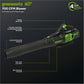 60V 700 CFM Cordless Battery Leaf Blower (Tool Only)