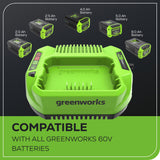 60V 3A Standard Charger