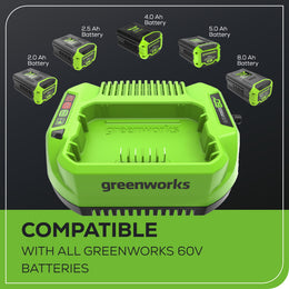 Pro 60V Standard Charger | Greenworks Tools