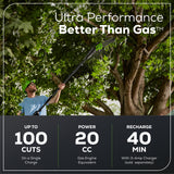 60V 10" Cordless Battery Pole Saw- Black Shaft (Tool Only)