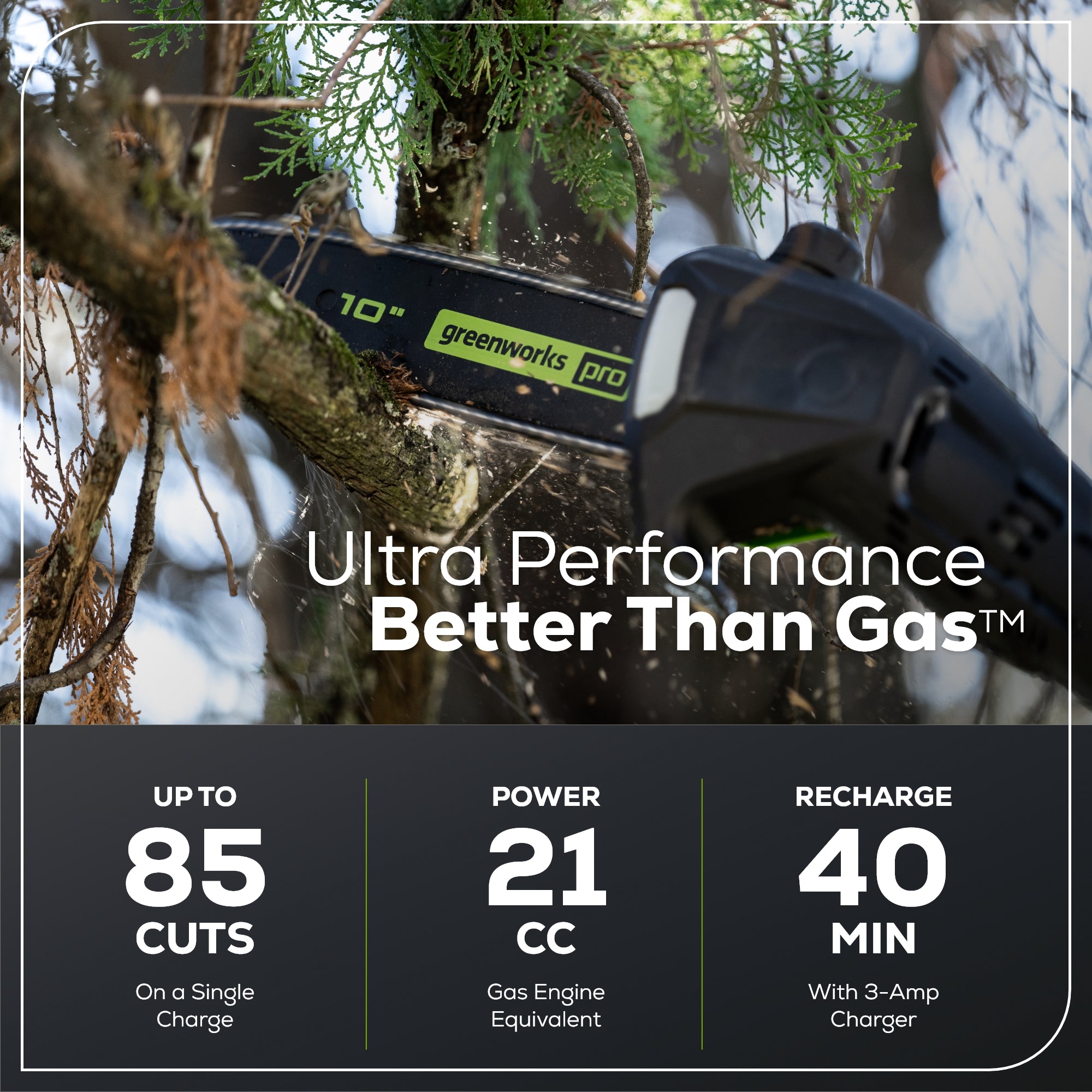 60V 10" Cordless Battery Pole Saw w/ 2.0 Ah Battery & Charger