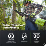 80V Cordless 10" Brushless Pole Saw w/ 2.0Ah Battery & Rapid Charger