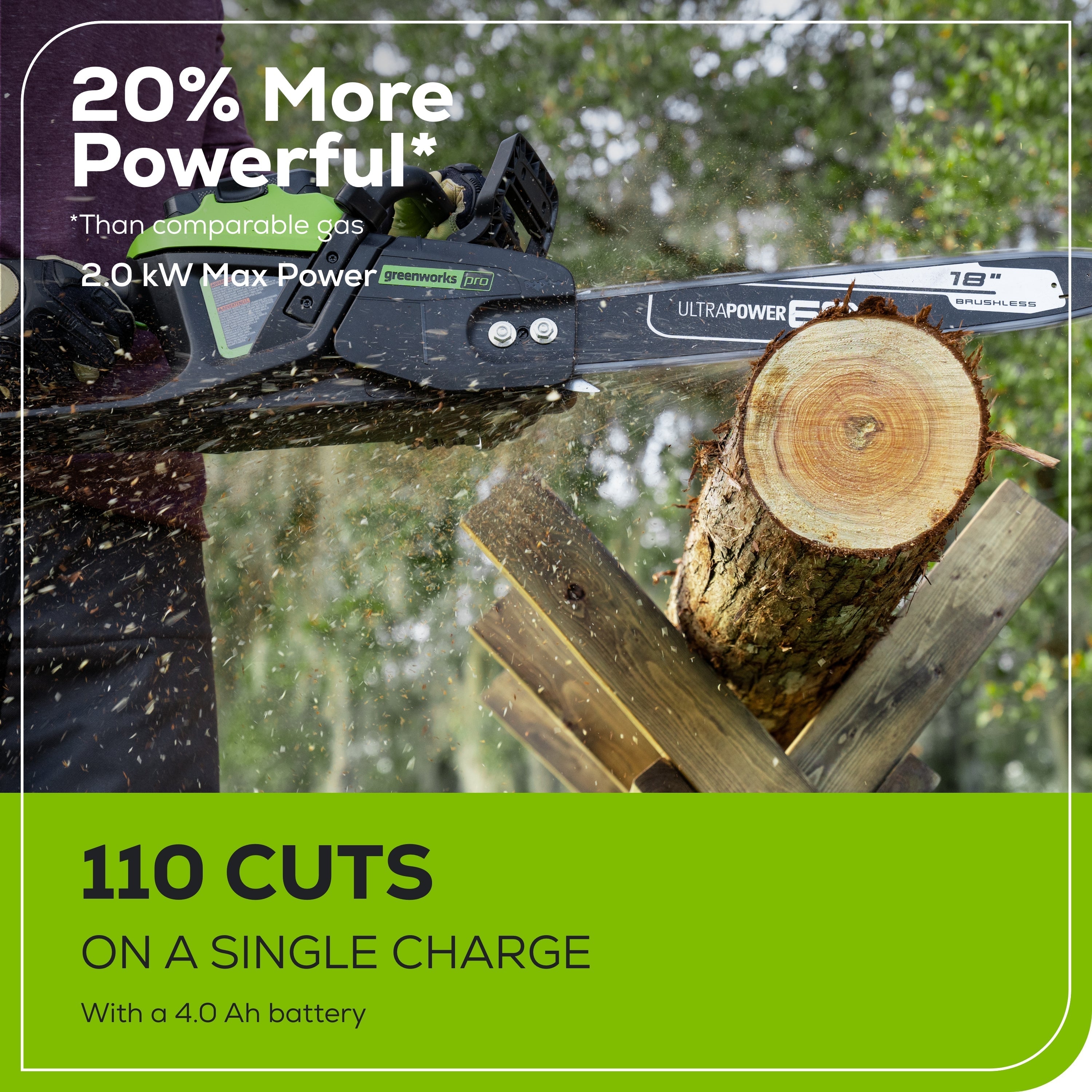 60V 18" Cordless Battery 2.0kW Chainsaw & 24V 6" Pruner Saw w/ (1) 4.0 Ah Battery, (1) 2.0 Ah Battery & (2) Chargers