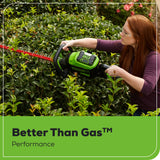 REFURBISHED 80V 2.0Ah Lithium-Ion Battery