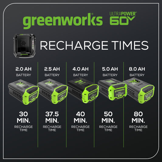 60V 6A UltraPower Rapid Battery Charger