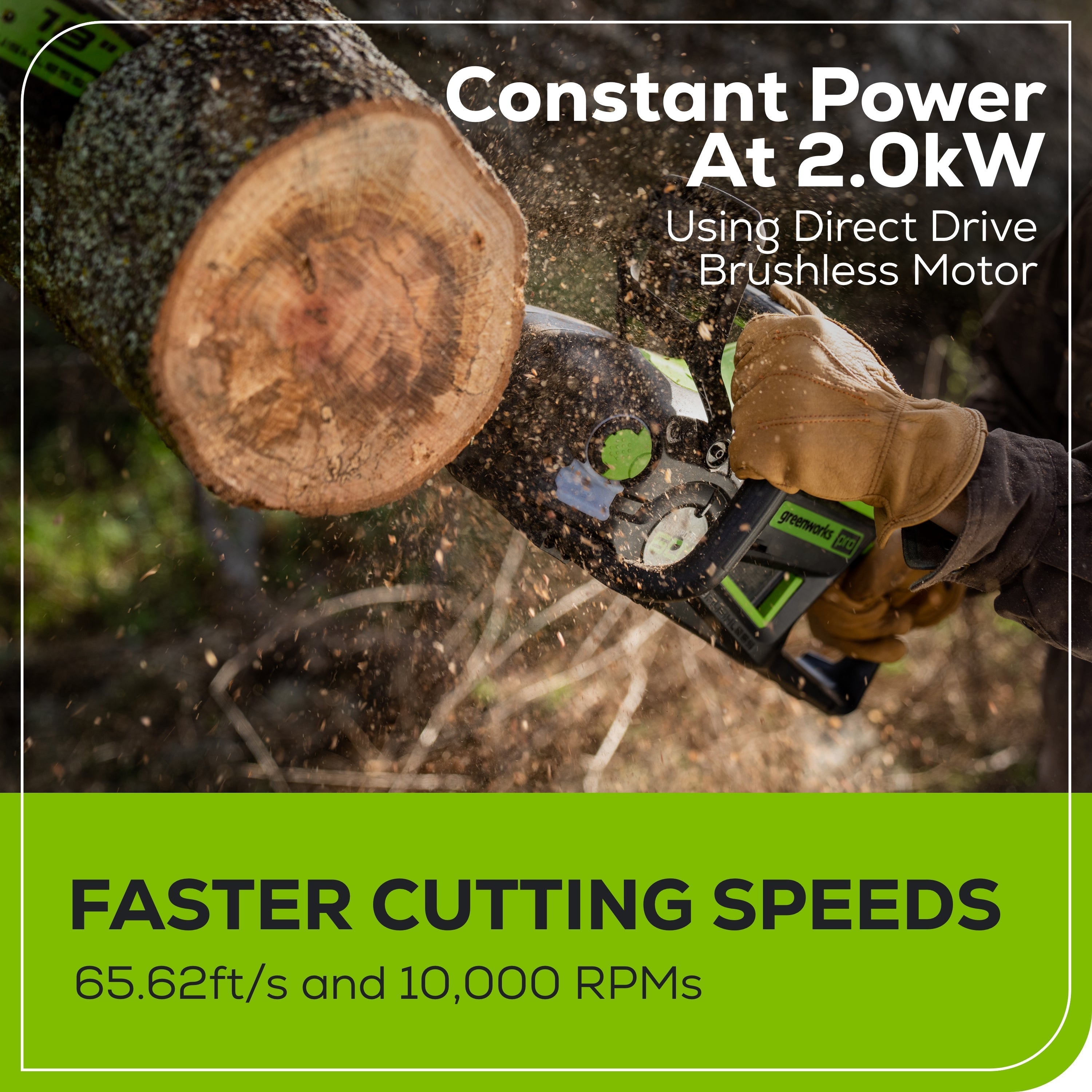 60V 18" Cordless Battery 2.0kW Chainsaw & 24V 6" Pruner Saw w/ (1) 4.0 Ah Battery, (1) 2.0 Ah Battery & (2) Chargers