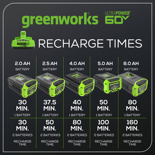 Pro 60V UltraPower 6A Dual-Port Battery Charger