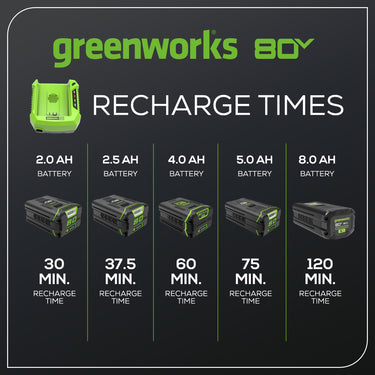 80V 4A Rapid Battery Charger