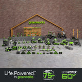 60V 6A UltraPower Rapid Battery Charger