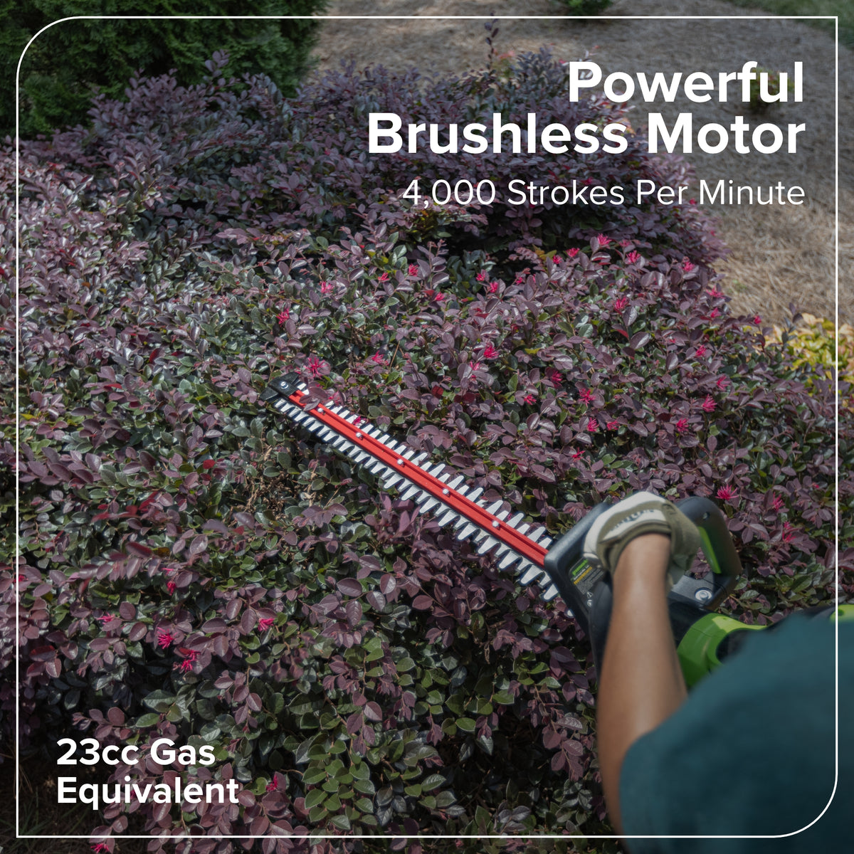 60V 26" Cordless Battery Hedge Trimmer 4000 SPM, 2Ah Battery and 3A Charger