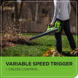 40V 12" Cordless String Trimmer and Leaf Blower Combo Kit w/ 2.0Ah Battery & Charger