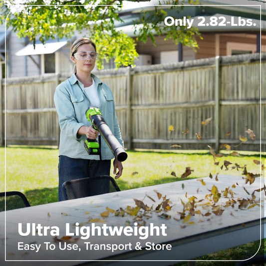 24V 270 CFM Cordless Battery Brushless Blower (Tool Only)