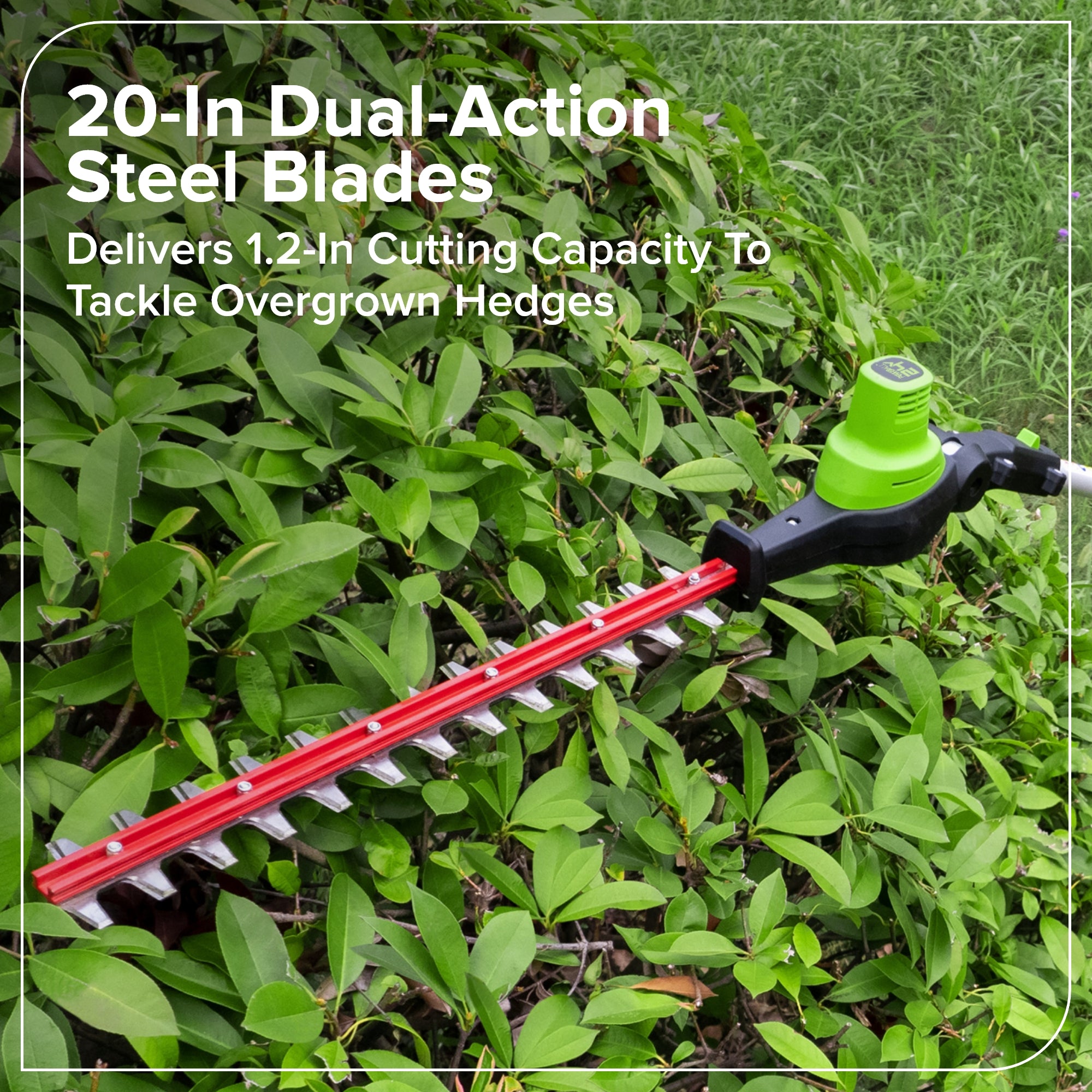 24V 8" Cordless Battery Pole Saw w/ 20" Hedge Trimmer Attachment Combo Kit (2.0 Ah Battery & 30W Type-C Charger (3-Ft cable))
