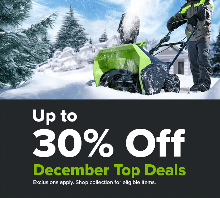 Loyalty Banner Image