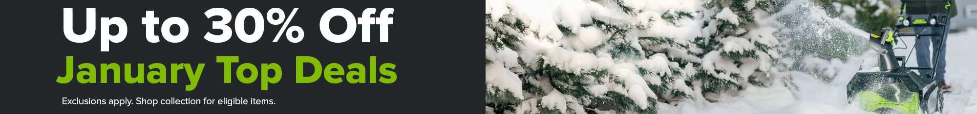 Loyalty Banner Image