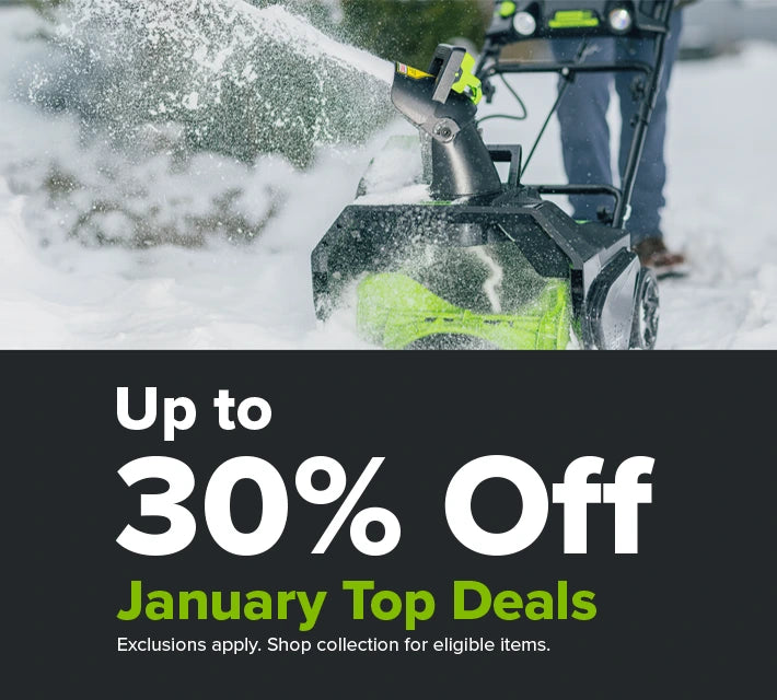 Loyalty Banner Image