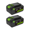 24V PowerAll High Power 4.0 Ah Battery (2-Pack)