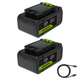 24V PowerAll Battery 2-Pack, with (2) 4.0 Ah Batteries