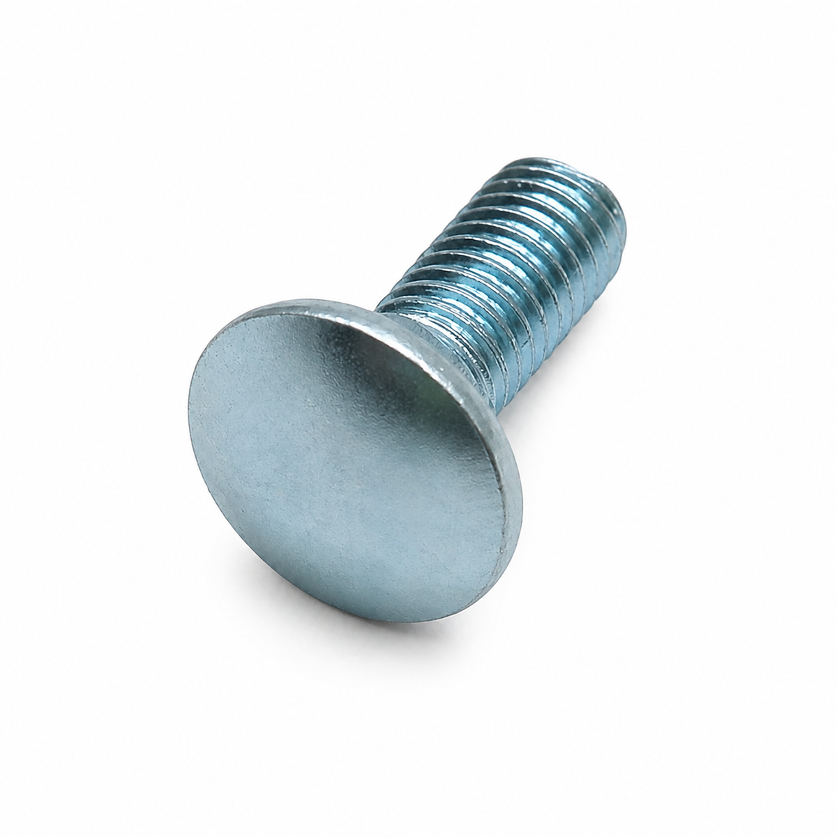 Carriage Bolt(R0202300-00)