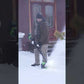 40V 12" Cordless Battery LED Snow Shovel w/ 4.0Ah Battery & Charger