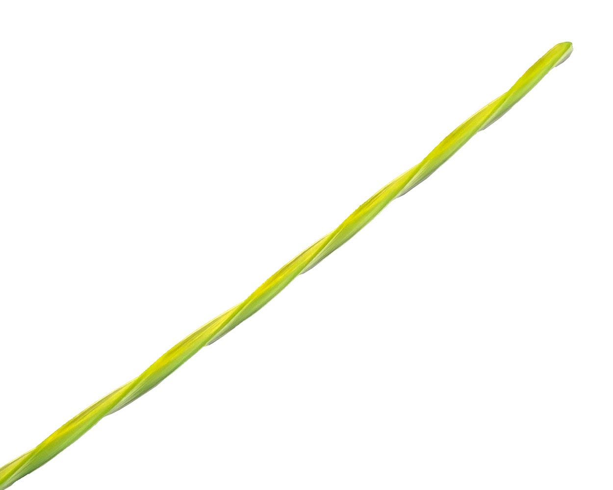 0.065-Inch Replacement String Trimmer Line (100-feet) | Greenworks