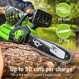 40V 12" Gen2 Cordless Battery Chainsaw: 2.0 Ah Battery and Charger