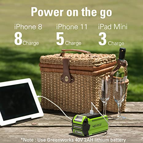 40V 12" Gen2 Cordless Battery Chainsaw: 2.0 Ah Battery and Charger