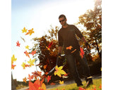 80V Cordless 500 CFM Brushless Leaf Blower | Greenworks Pro